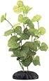 Marina Ecoscaper Hydrocotyle Silk Plant Plant, 8-Inch
