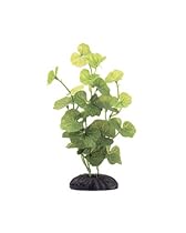Marina Ecoscaper Hydrocotyle Silk Plant Plant, 8-Inch

