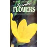 An Illustrated Guide To Garden Flowers
