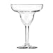 Party Margarita Glasses Set of 12 with Storage Box