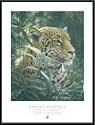 Art Poster Metal Framed Print - Symbol of the Rainforest (detail) - Artist: Robert Bateman- Poster Size: 32 X 24