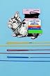 FP RABBIT & GPIG COLLAR & LEAD