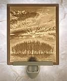 Review The Porcelain Garden  / Sunrise Lithophane Porcelain Curved Night Light