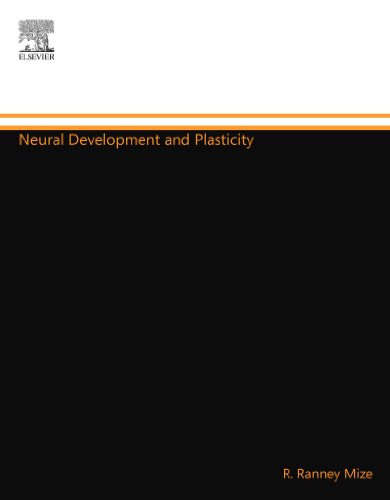 Neural Development and Plasticity