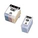 Electronics : Amazon Imaging S020108/089 Ink Cart Replacements for Epson (2-Pack)