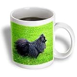 Dogs Pomeranian - Black Pomeranian - Mugs