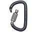 Petzl AM'D Screw-Lock Carabiner
