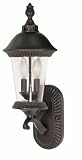 Nuvo 60/962 Arm Up, Wall Lantern with Clear Seed Glass, Chestnut Bronze, Small