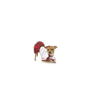 Cute And Matching School Puppypet Dog Cat Costume Leg Avenue by Fenvy