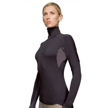 Buy Icebreaker Ladies BodyFit260 Altitude Zip by Icebreaker