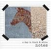 Notes