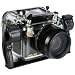 Fantasea