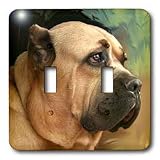 Dogs Cane Corso - Cane Corso - Light Switch Covers - double toggle switch