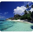 Click here to buy D'Argent Beach Mouse Pad by Allsop.