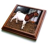 Farm Animals - Boer Doe Goat - Trivets