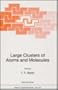 Large Clusters of Atoms and Molecules (NATO Science Series E: Applied Sciences, Volume 313)