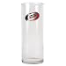 Carolina Hurricanes NHL 9 Flower Vase - Primary Logo by Great American Products