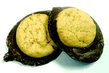 Sugar Free Peanut Butter Cookies Dipped in Sugar Free Milk Chocolate, 1 lb bag by Sugar-Free Candy