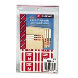 SMEAD MANUFACTURING CO. / SMD67184 / Alpha-Z Color-Coded Second Letter Labels, Letter N, Red, 100/Pack / Sold as 1 PK