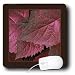 Jaclinart Nature Garden Leaves Floral Botanical - Rich red metallic leaves with dark chocolate frame - Mouse Pads
