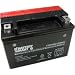 TX9-BS AGM Maintenance Free Battery