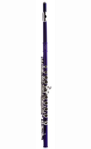 Hawk WD-F113-PL Closed Hole C Flute with Case, Purple On Sale