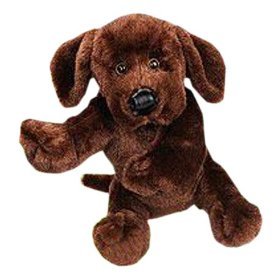 Webkinz Chocolate Lab