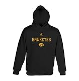 Iowa Hawkeyes Adidas Youth Basic Hooded Sweatshirt