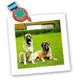 Dogs Mastiff - Mastiff - Quilt Squares