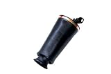 1990-2008 Ford Crown Victoria Rear Air Spring Assembly