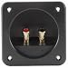 Square Speaker Terminal 4" Gold Spring-Loaded