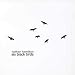 Six Black Birds