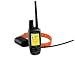 Garmin Astro 220 Bundle with the New Dc-40 Collar