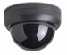 Photo : Simulated (Dummy) Dome Camera