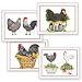 Farmhouse Chicken Gift Card Set of 8