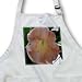 Macros Angel Trumpet An Orange Flower - Waist Apron With Pockets