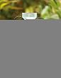 Rain gauge with metal stake Rain gauge with metal stake