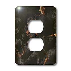 Taiche Photography - Dog Rottweiler Puppy - Light Switch Covers - 2 plug outlet cover