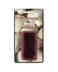 MSC International Shroom Groom