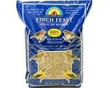 Finch Feast 20