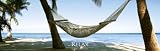 Relax (Hammock on Beach) Black Wood-Mounted Art Poster Print - 12" X 36"