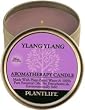 Ylang Ylang Aromatherapy Candle- Made with 100% Pure Essential Oils - 3oz Tin