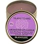 Ylang Ylang Aromatherapy Candle- made with 100% pure essential oils- 24 hr. burn time