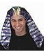 Metallic Pharaoh Egyptian King Tut Costume Headdress