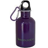 EcoUsable 10oz Stainless Steel Bottle - Purple