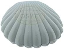Osye Creative Sea Shell-shaped Jewelry Gift Box Case for Rings, Earrings (Grey)