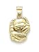 14k Polished Zodiac-Cancer Pendant - JewelryWeb