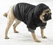 Dog Eskimo Winter Warm Jacket - Black Color - Large Size
