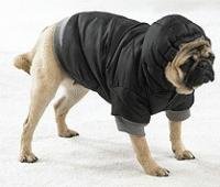 Dog Eskimo Winter Warm Jacket - Black Color - Medium Size