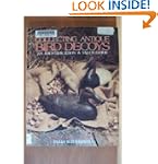 Collecting Antique Bird Decoys